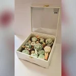 باکس چوبی لومن رویال دستساز رنگ سبز 11