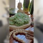 گیفت-شمع-مدل-گل-بابونه-11